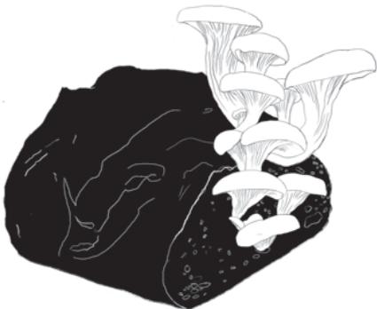 3e4c68f1df0893d42b9051baca3acbf4-img.jpg
