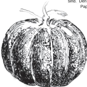 e3c57c87ed03be54510dd624d1b4dc86-img.jpg