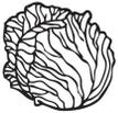 179c6b5c7fd756bb49adff05a115ba4a-img.jpg