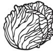 1ccc8ed007efe4df28993f16cc6e911b-img.jpg
