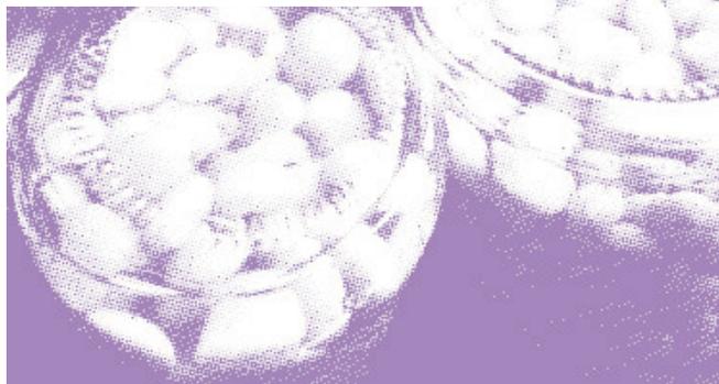 41245ac07db266bea228735b9e8c8b73-img.jpg