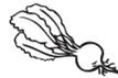 810c7bd381c13911f72d22587ad08606-img.jpg