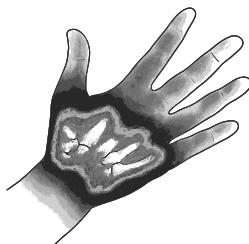 DlR23b24f4ae9e4f411c88b157b0d9abbf4-img.jpg