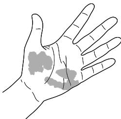 EzY3be5865ea06169594168ee0a7f66bb5b-img.jpg