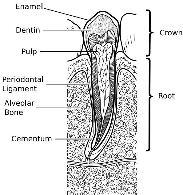 FKS9ffa2fe64297bc0d0ec7aedef4a8936f-img.jpg