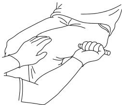 IPaa5890e6023525372a86a7f9de4a4a505-img.jpg