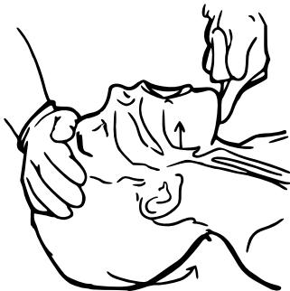 ZCy3e5e68907700ebc68f5ad6bc64601b4c-img.jpg