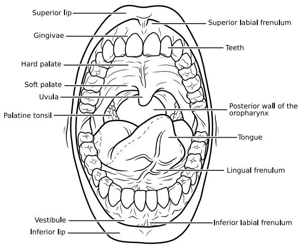 gkA41183f01ec4a2599ce21177e2edcc150-img.jpg