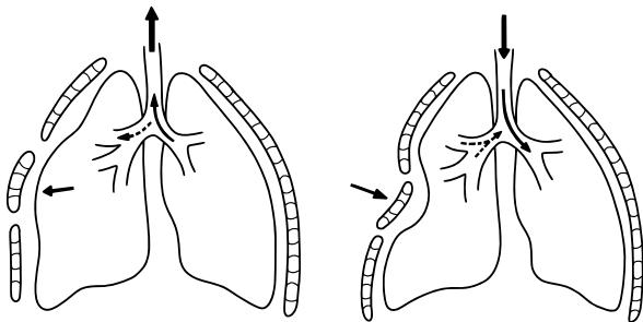 pMWcaa79e1f5a4f75137d2f4d5e3567fa4b-img.jpg