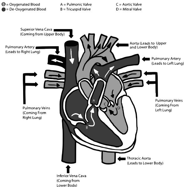 tlJa693cf2fc191aecedfb98fb9370c9bb2-img.jpg