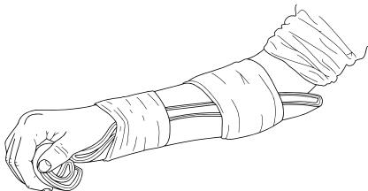 v9S612ee45920ee913e7d8d80c9fae53aca-img.jpg